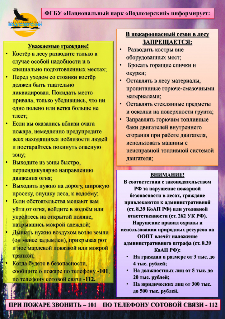 Памятка по пожарной безопасности в лесу Памятка по пожарной безопасности в лесу