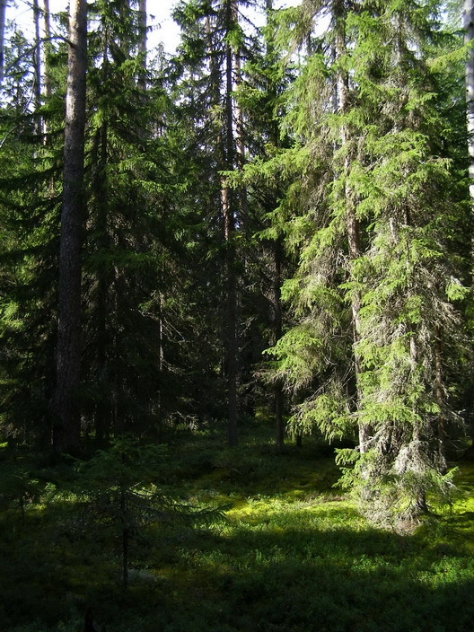 i4688-image-original.jpg i4688-image-original.jpg