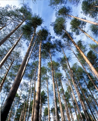 i4687-image-original.jpg i4687-image-original.jpg