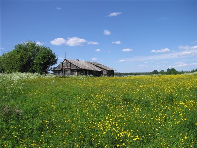 i4830-image-original.jpg
