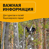 Важная информация для гостей Водлозерского парка
