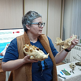 «Ночь искусств» с Водлозерским парком